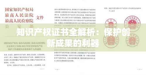知识产权证书全解析：保护创新成果的利器