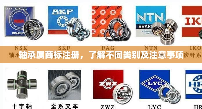 志在四方 第5页