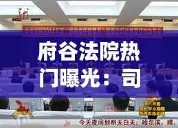 府谷法院热门曝光：司法公正与透明度的实践与反思