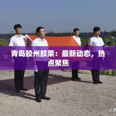 青岛胶州胶莱：最新动态，热点聚焦