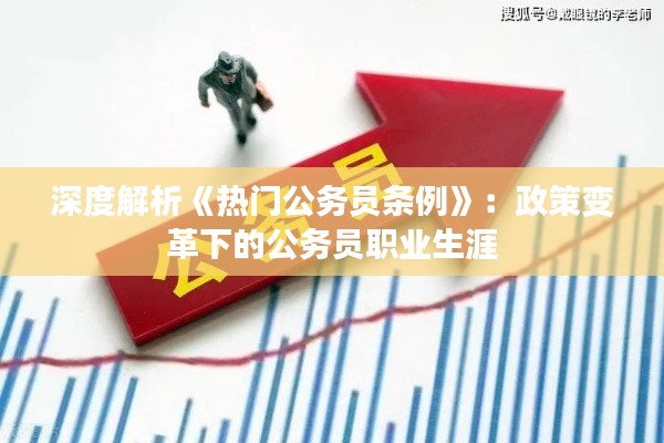 深度解析《热门公务员条例》：政策变革下的公务员职业生涯