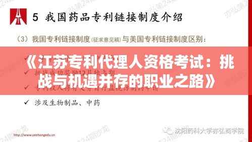 韦编三绝 第4页