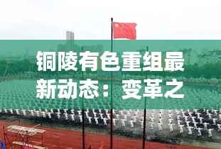 无影无踪 第3页