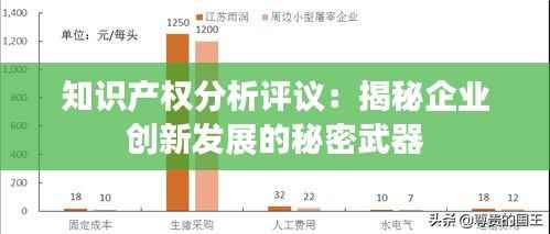 知识产权分析评议：揭秘企业创新发展的秘密武器
