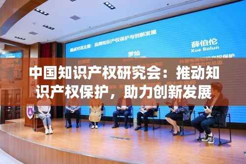 中国知识产权研究会：推动知识产权保护，助力创新发展