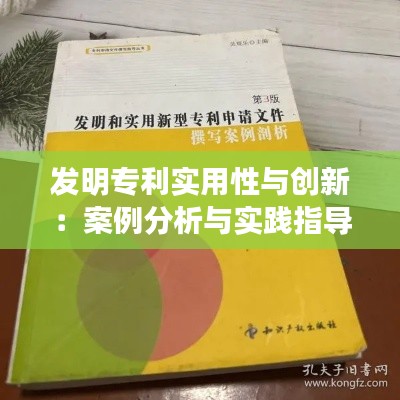 发明专利实用性与创新:案例分析与实践指导