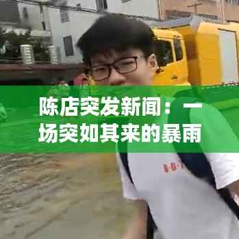 陈店突发新闻：一场突如其来的暴雨引发的社区救援行动
