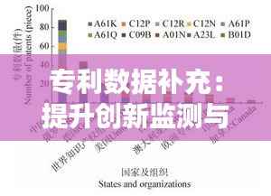 专利数据补充：提升创新监测与分析的精准度