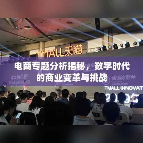 电商专题分析揭秘，数字时代的商业变革与挑战