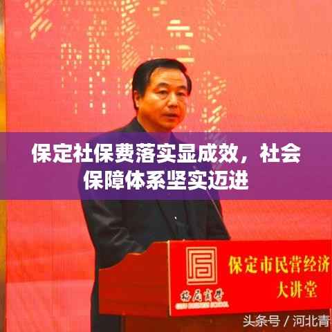 保定社保费落实显成效，社会保障体系坚实迈进