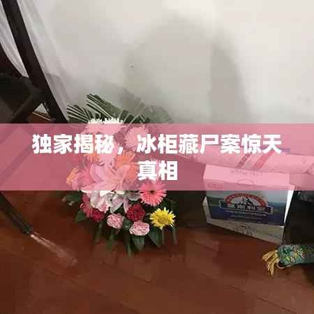 独家揭秘,冰柜藏尸案惊天真相