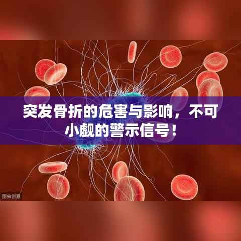 走马观花 第3页