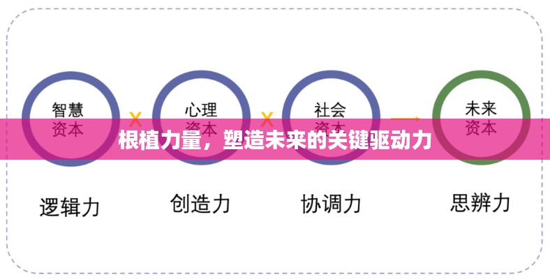 十全十美 第4页