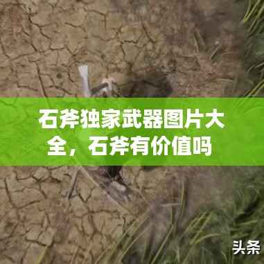 石斧独家武器图片大全，石斧有价值吗 