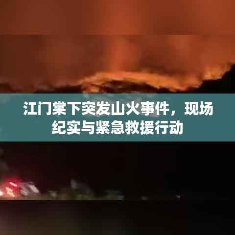 江门棠下突发山火事件，现场纪实与紧急救援行动