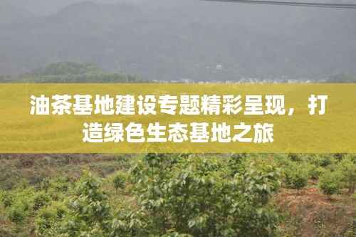 油茶基地建设专题精彩呈现，打造绿色生态基地之旅