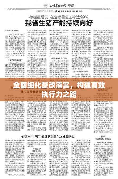 全面细化整改落实，构建高效执行力之路