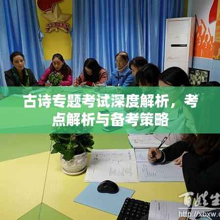 古诗专题考试深度解析,考点解析与备考策略