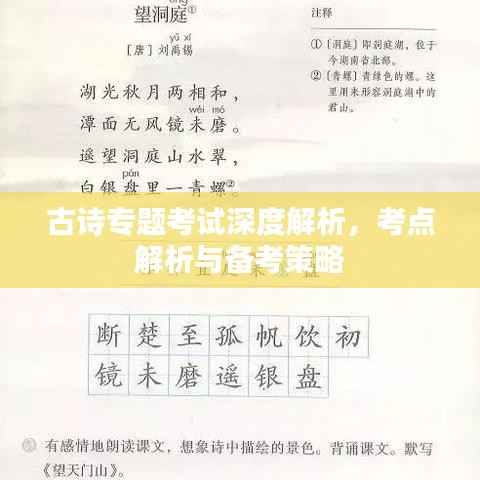 古诗专题考试深度解析,考点解析与备考策略