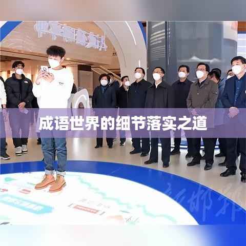 成语世界的细节落实之道