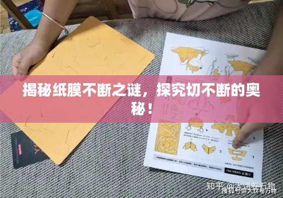 云龙井蛙 第3页