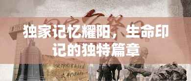 夫妻本是同林鸟 第4页