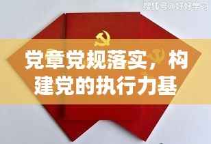 党章党规落实，构建党的执行力基石