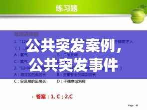公共突发案例,公共突发事件处理原则