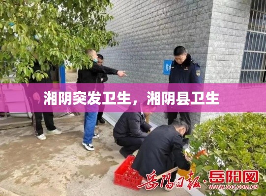 湘阴突发卫生,湘阴县卫生