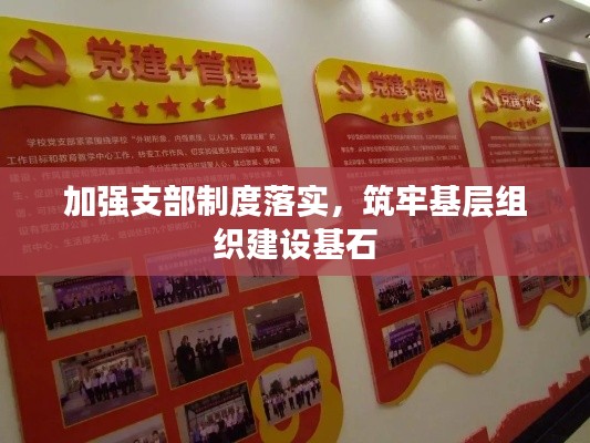 加强支部制度落实，筑牢基层组织建设基石