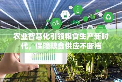 农业智慧化引领粮食生产新时代，保障粮食供应不断档