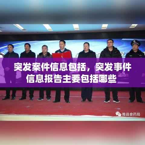 突发案件信息包括，突发事件信息报告主要包括哪些 