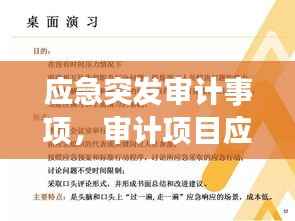 应急突发审计事项，审计项目应急保障方案 