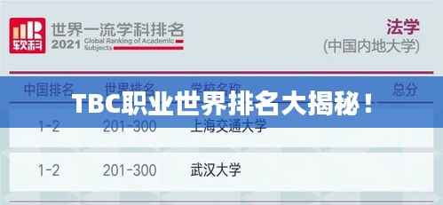 TBC职业世界排名大揭秘！