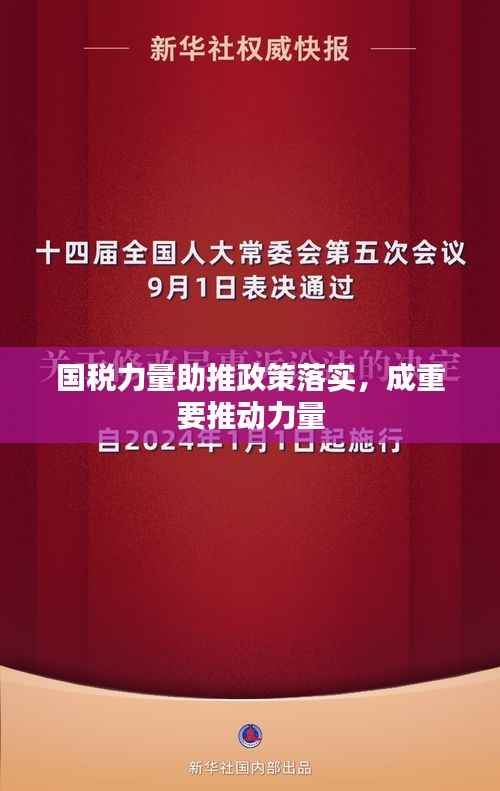 国税力量助推政策落实,成重要推动力量