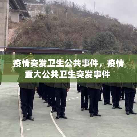 疫情突发卫生公共事件，疫情重大公共卫生突发事件 