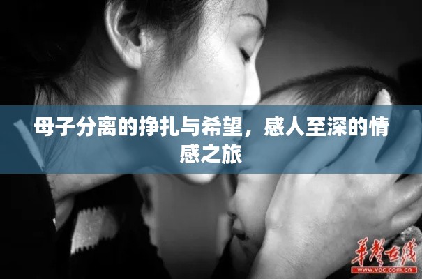 母子分离的挣扎与希望,感人至深的情感之旅
