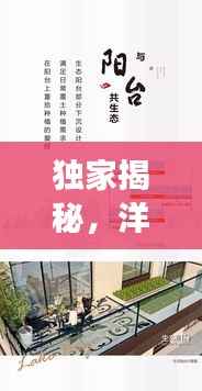 独家揭秘，洋房今日盛大开盘，最新消息一网打尽，市场洞察助你洞悉先机！