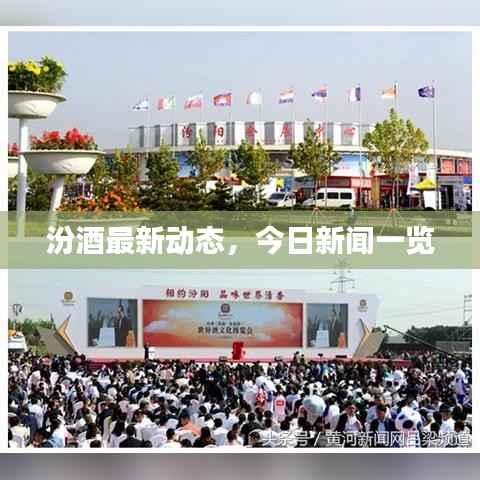 汾酒最新动态，今日新闻一览