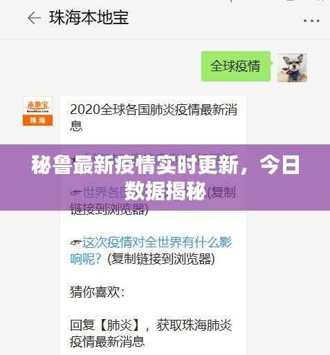 秘鲁最新疫情实时更新,今日数据揭秘