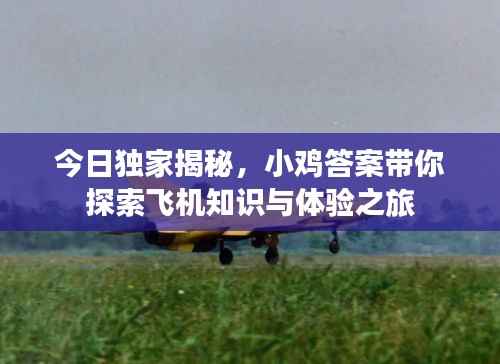 今日独家揭秘，小鸡答案带你探索飞机知识与体验之旅