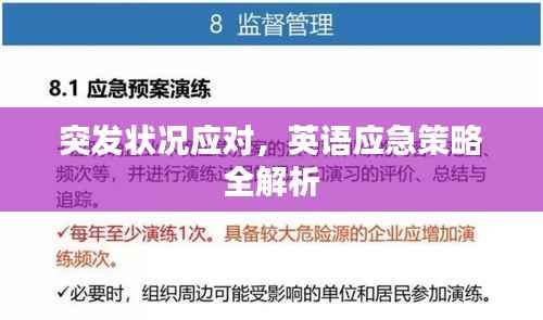 突发状况应对，英语应急策略全解析