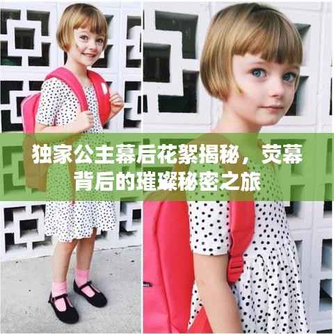 独家公主幕后花絮揭秘，荧幕背后的璀璨秘密之旅
