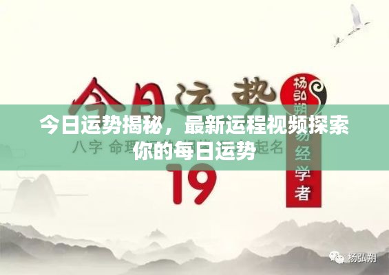 金石为开 第3页