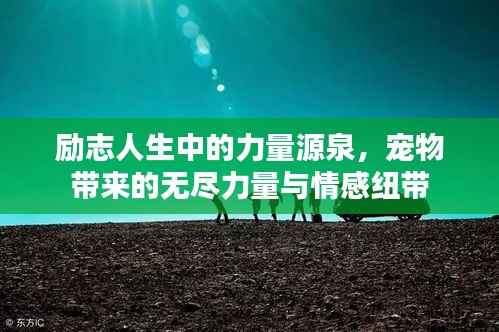 椎髻布衣 第3页