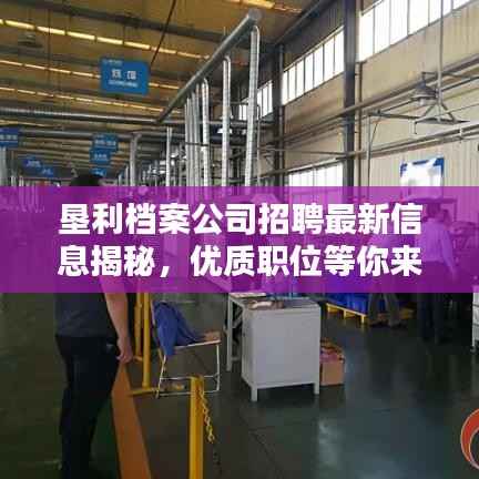 垦利档案公司招聘最新信息揭秘，优质职位等你来挑战！