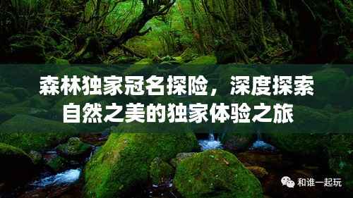 森林独家冠名探险,深度探索自然之美的独家体验之旅
