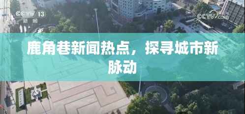 鹿角巷新闻热点，探寻城市新脉动