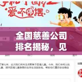 全国慈善公司排名揭秘，见证慈善行业的力量与担当传奇！