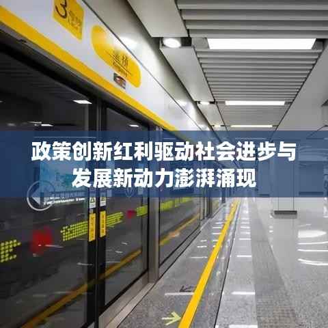 销声匿迹 第4页